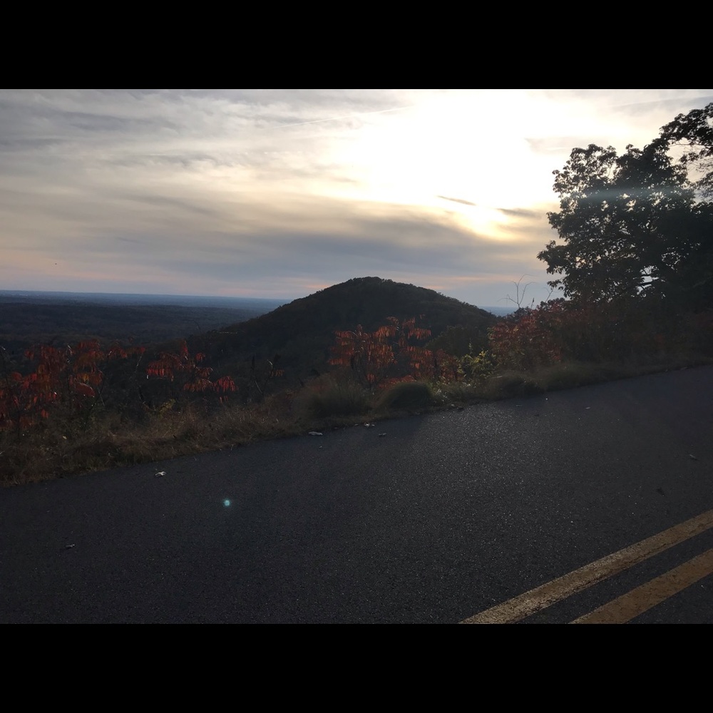 ANYTHING - Picture 2 of 16